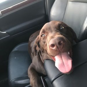 Meet your Posher, Debbie